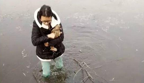 女大学生跳进冰冷湖只为救野兔
