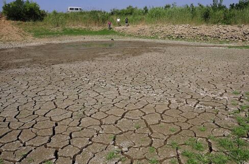 青岛年初降水偏少 部分地区已干旱