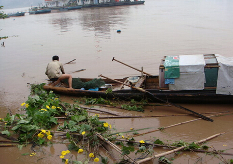 2016年长江流域发生洪涝灾害的可能性很大