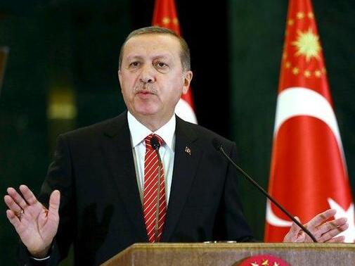 土耳其总统再次发声 建议安理会国家扩至20个