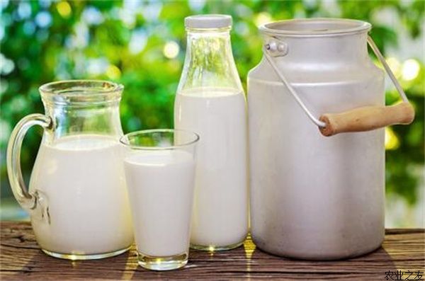 中国奶业面临三重困境 奶业崛起需要