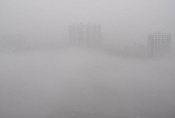 青岛气象台发布大雾黄色预警信号 能见度将小于500米