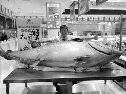 温州现巨型金枪鱼 最贵部位3800元一两